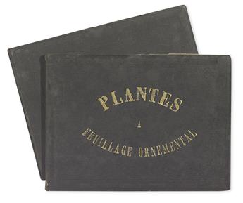 (BOTANICAL.) Dallière, Alexis. Les Plantes Ornementales à Feuillage Panaché & Coloré.